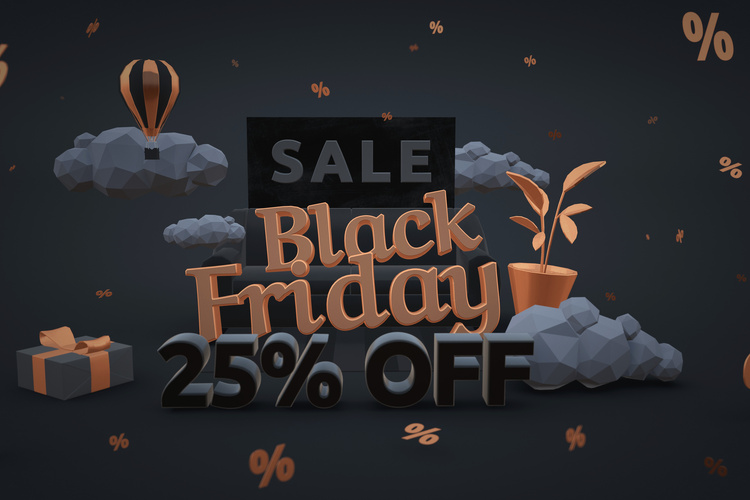 Black Friday 25% discount.